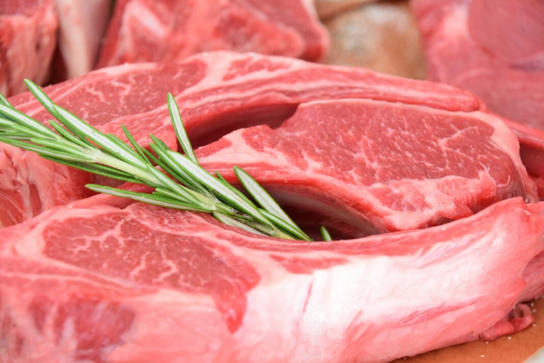 Exportações de carne bovina brasileira sofrem queda de 26% em agosto com preocupação sobre tarifas chinesas