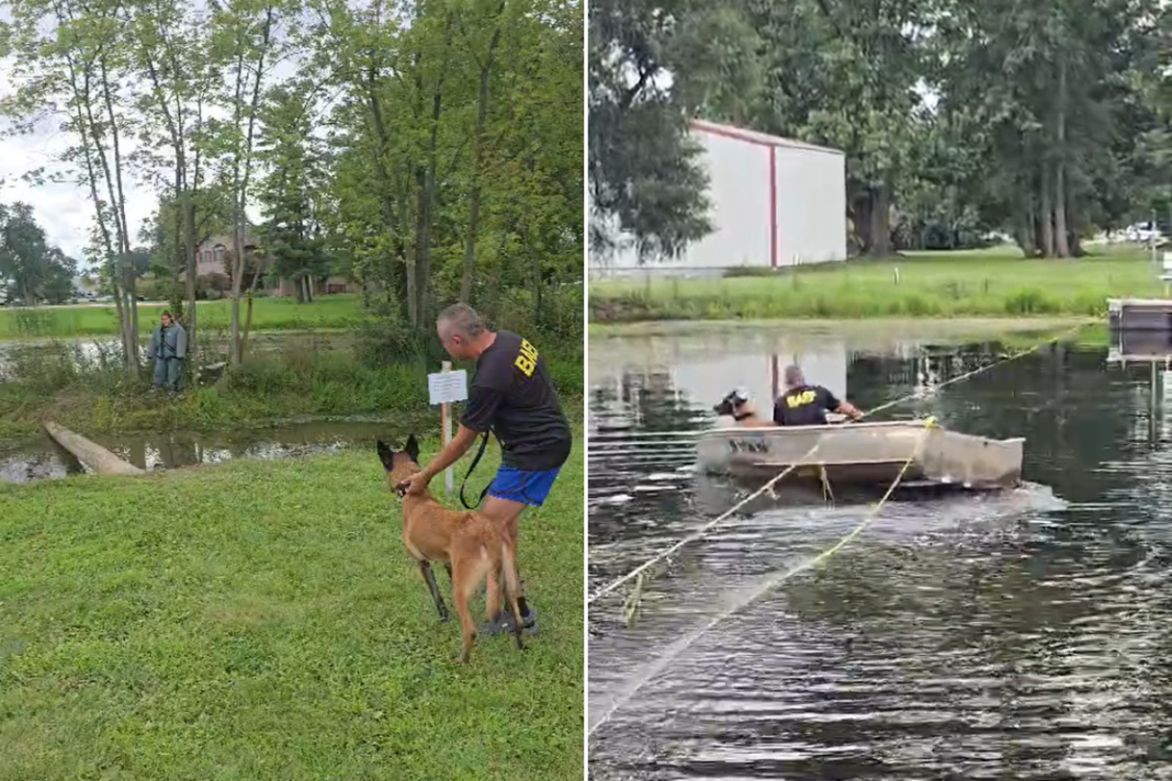 K9 Kira e policial do interior de SP vencem prova mais complexa de competição de cães nos EUA