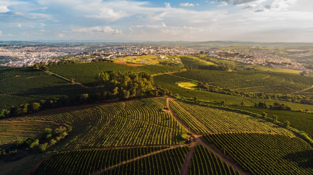 Avanço do agro e estoques recordes preparam sistema global para enfrentar ‘super El Niño’