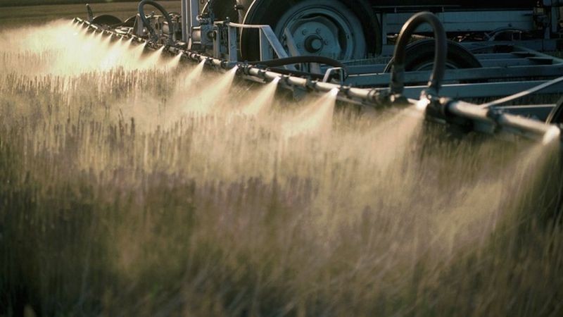 Justiça suspende por 90 dias registro de novos agrotóxicos à base de glifosato em todo o Brasil