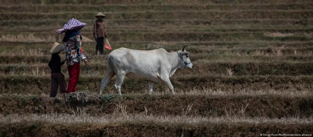 Crise Climática e Escassez Alimentar Amplificam Risco de Conflitos Globais