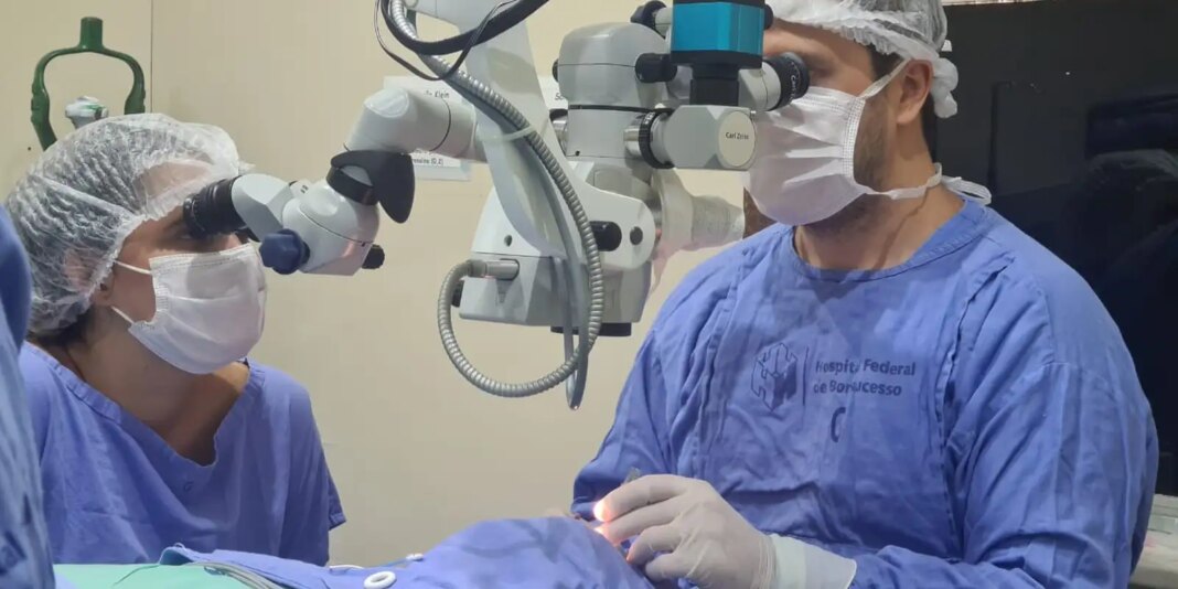 Fila de espera por transplante de córnea no Brasil cresce 24% em seis meses e atinge quase 38 mil pessoas