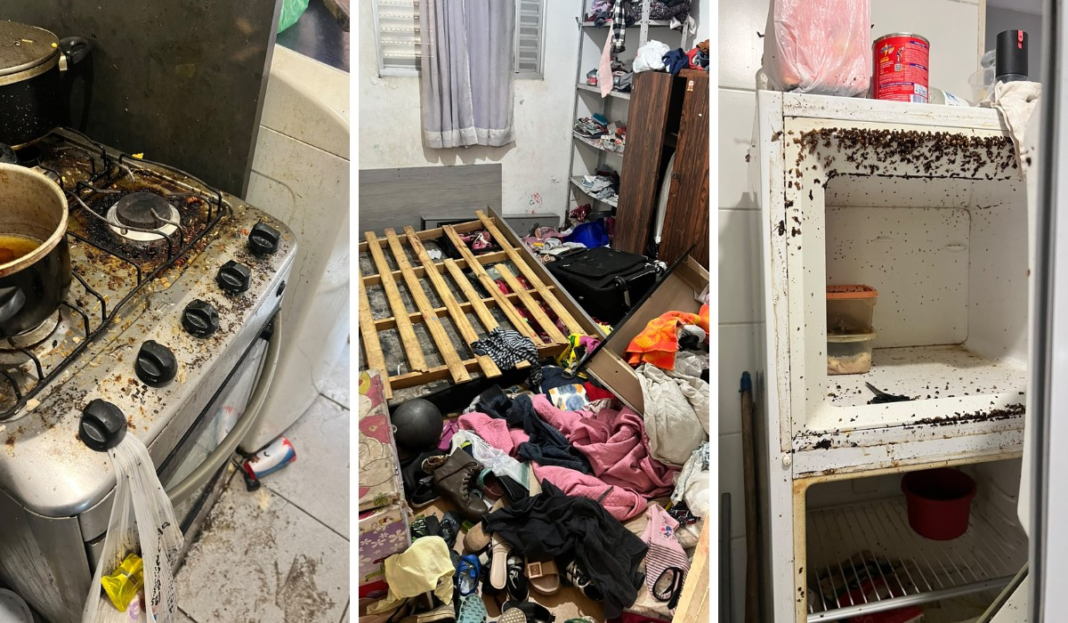 Mãe é presa após PM encontrar filhos sozinhos em condições insalubres em Campinas