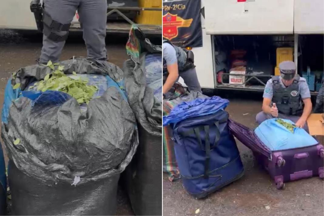 Polícia Rodoviária flagra bolivianos transportando quase 750 kg de folhas de coca em ônibus na Raposo Tavares