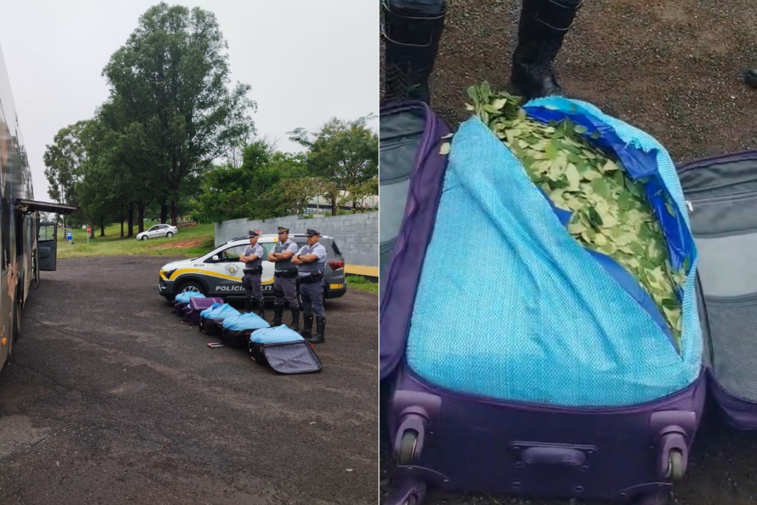 Polícia Rodoviária apreende quase 1,8 tonelada de folhas de coca em sete ocorrências no Oeste Paulista