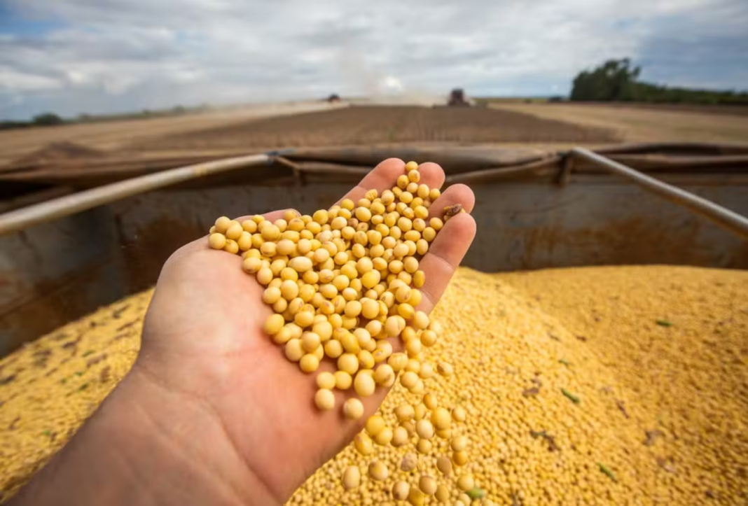 PIB do Brasil avança 0,5% no segundo trimestre de 2026, impulsionado pela agropecuária, informa IBGE