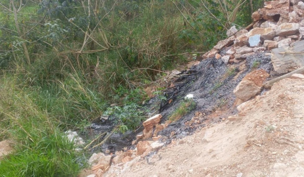 Polícia Civil investiga morte de cão que ficou preso em asfalto em Americana