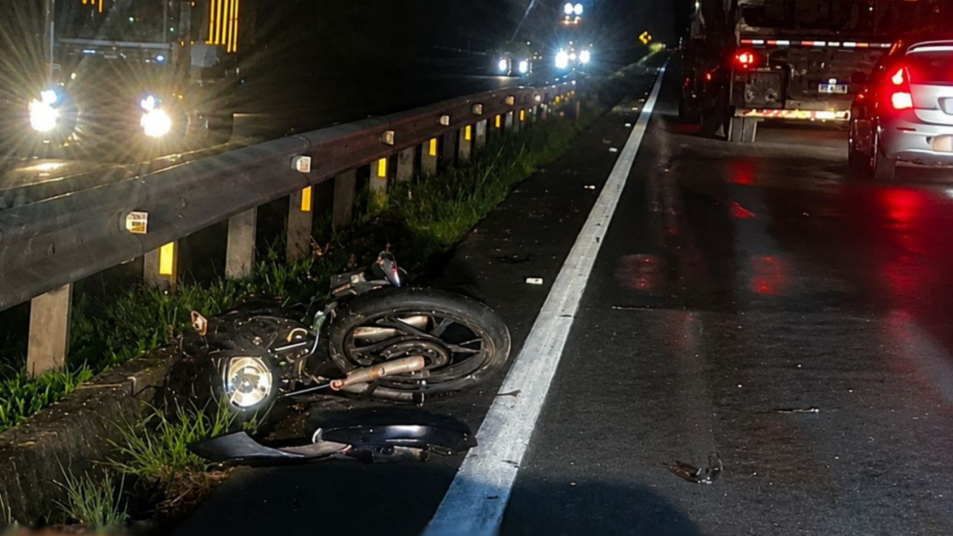 Cavalo solto na pista causa sequência de acidentes e deixa um ferido na Marechal Rondon, em Botucatu