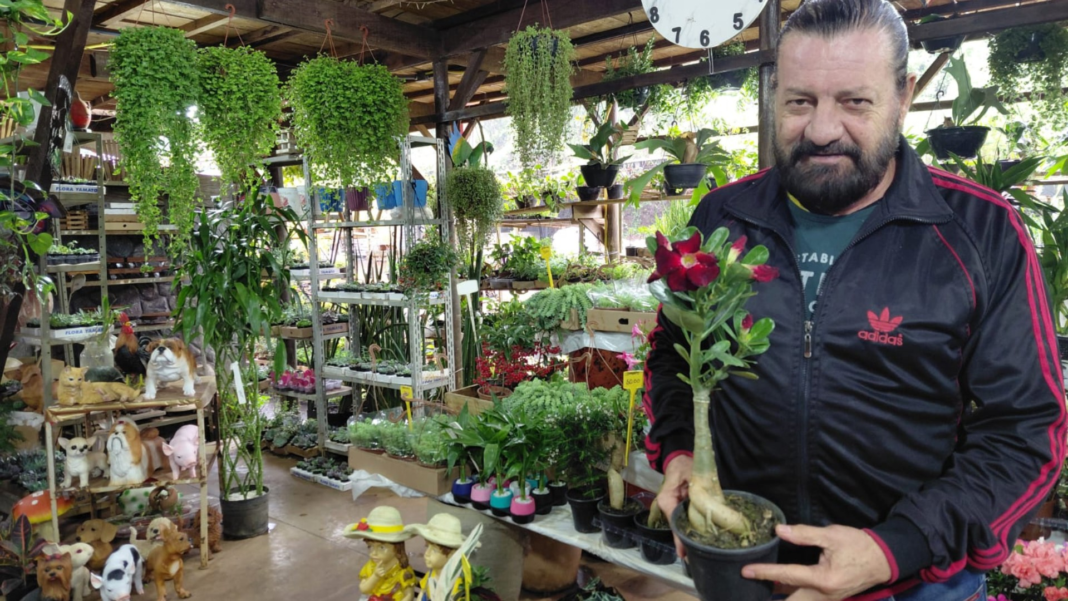 Pioneiro do Ceagesp Bauru, florista celebra 27 anos de atividade e descarta aposentadoria