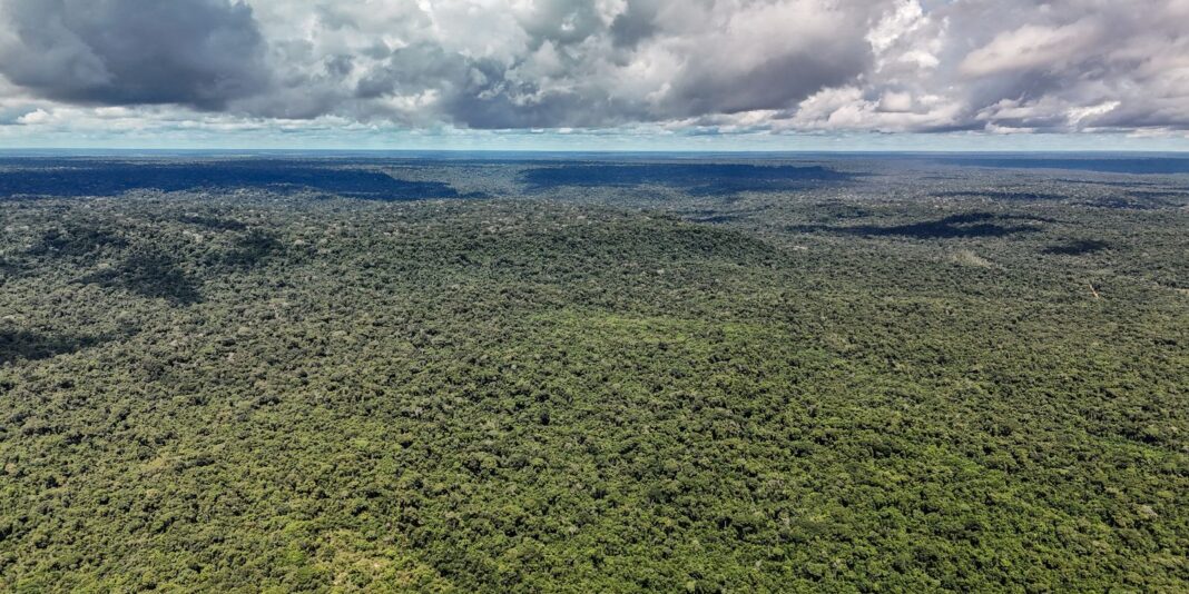 Fazenda autoriza R$ 1 bilhão em crédito do BID para programa de investimento ecológico
