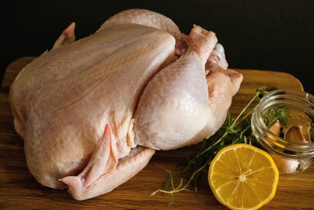 Brasil deve voltar a exportar mel e carne de aves para a União Europeia após auditorias
