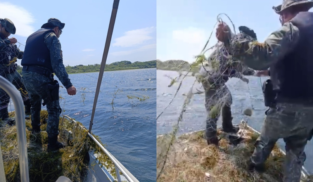 Polícia Ambiental Apreende 1,4 Mil Metros de Redes de Pesca Instaladas Ilegalmente no Rio Paraná em Rosana (SP)