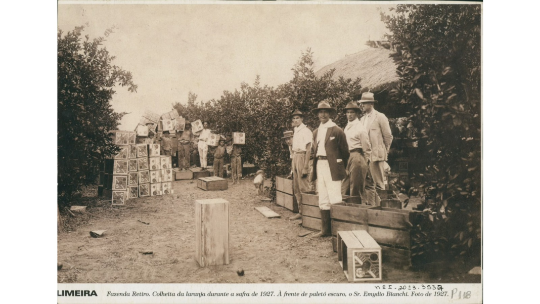 Exposição no Pátio Limeira Shopping resgata história da Festa da Laranja e celebra cultura local