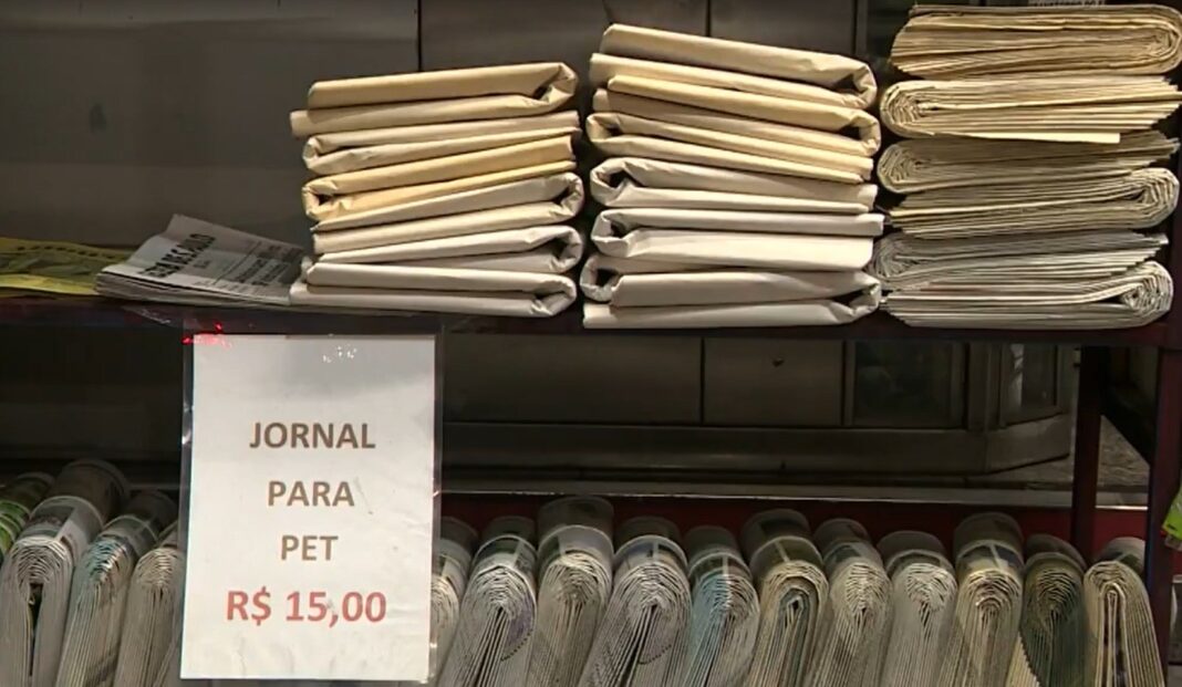 Bancas de jornal em Campinas se reinventam: de tabacarias a pet shops para sobreviver