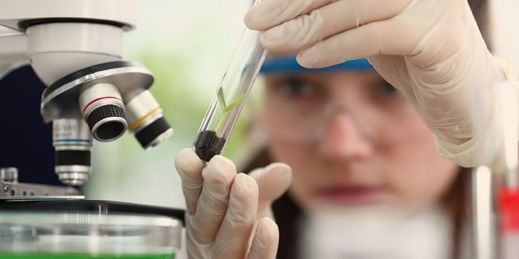 Prêmio Carolina Bori abre inscrições para reconhecer jovens cientistas até 30 de outubro