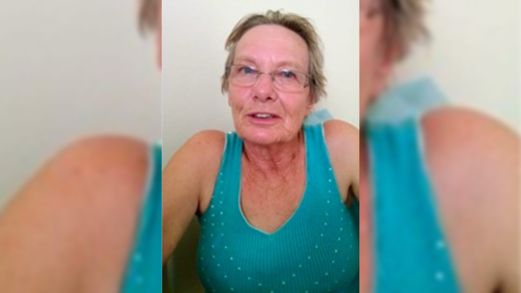 Idosa de 80 anos morre após ser atacada por enxame de abelhas em Botucatu