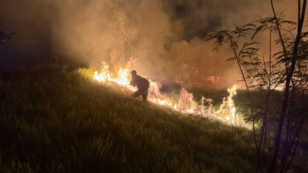 Incêndio de Grandes Proporções Devasta 70 Mil Metros Quadrados de Pastagem em Marília