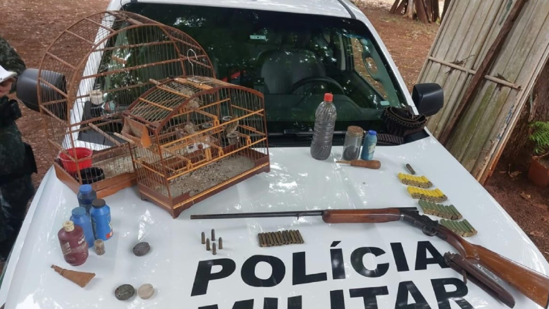 Fiscalização flagra cativeiro ilegal de aves silvestres e apreende arma de fogo em sítio de Jaú