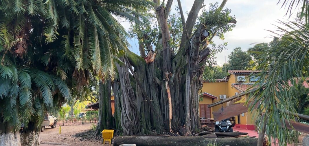 Funcionário de hotel fazenda em São Pedro é ferido na cabeça por galho de árvore que caiu