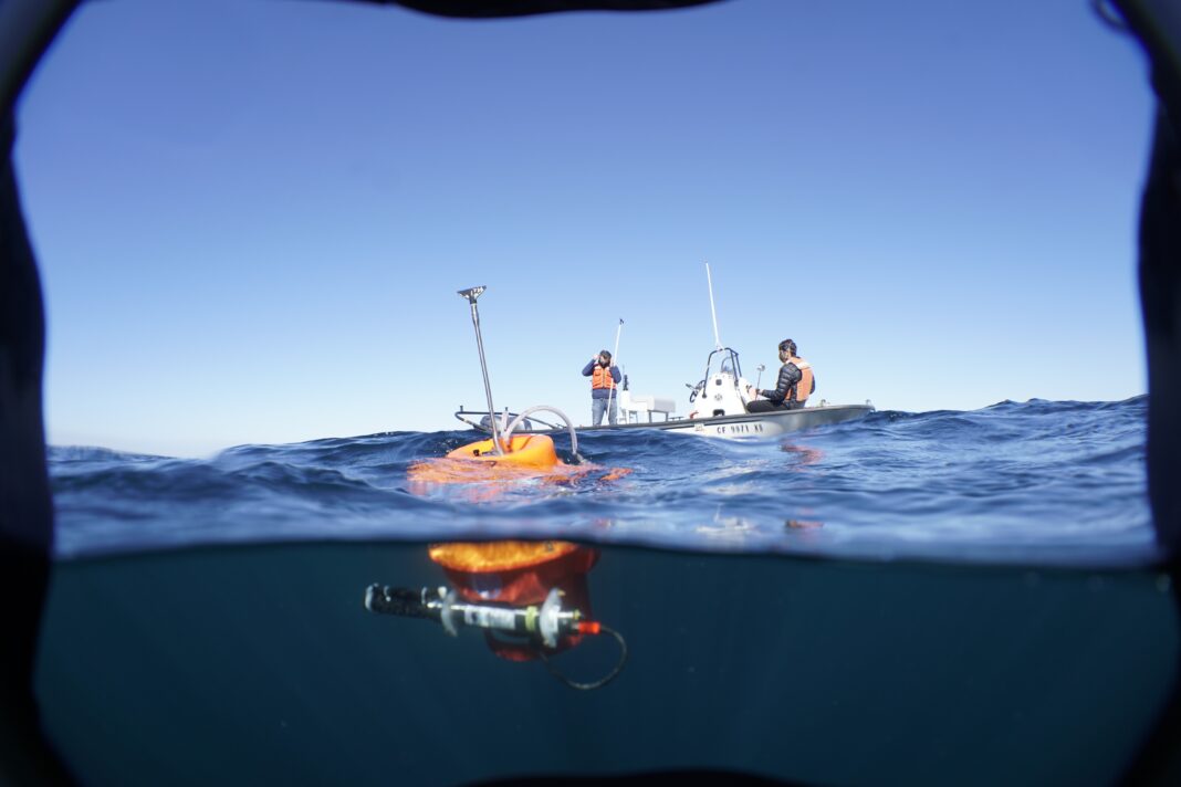 Calor recorde nos oceanos eleva risco de encarecimento de alimentos e afeta turismo
