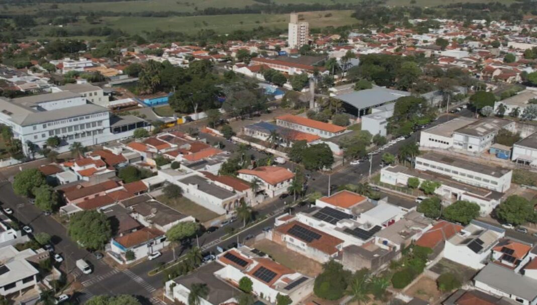 Arborização Urbana é Estratégia Essencial para Combater o Calor Extremo e Adaptar Cidades ao Clima