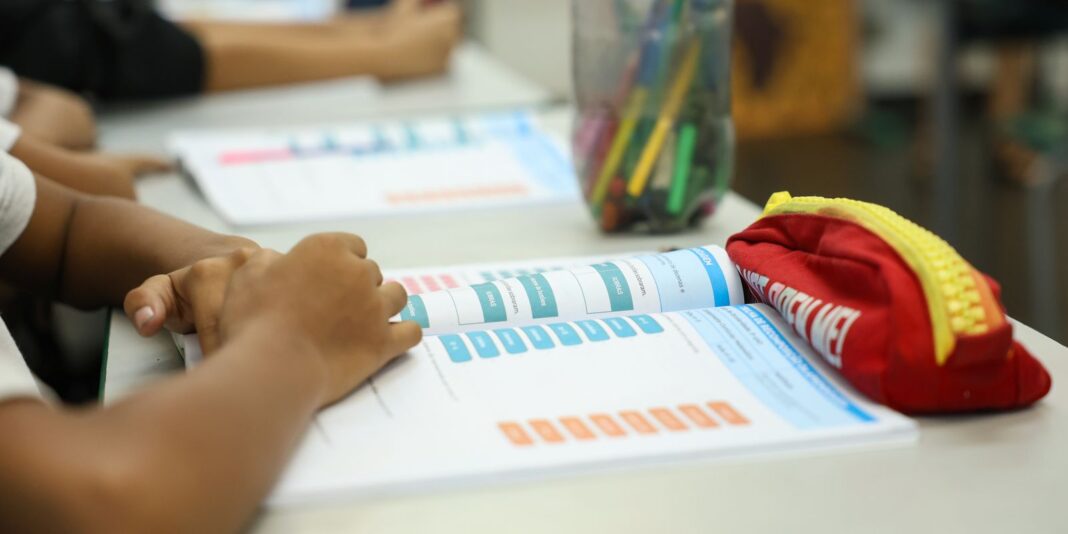 Censo Escolar 2026: prazo para conferir dados da matrícula inicial se encerra em 11 de setembro