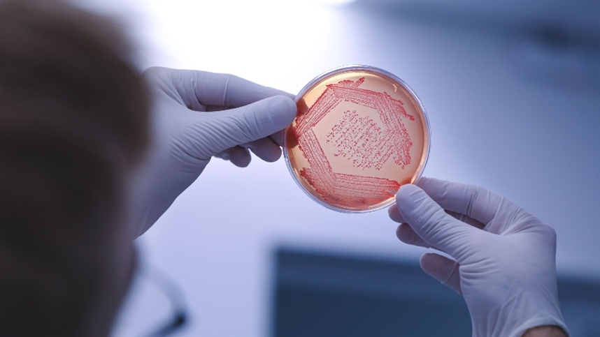 Bioinsumos buscam espaço no orçamento das propriedades rurais