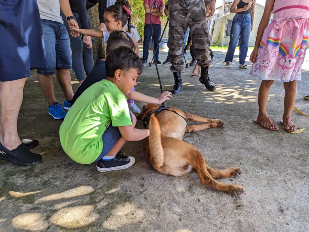 Crianças autistas participam de cinoterapia com cães do Bope em Macapá
