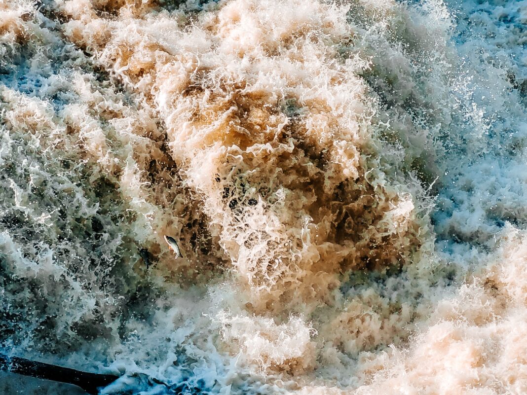 Início da Piracema em SP conta com apoio de pescadores em Piracicaba
